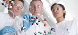 A female and two male scientists are looking at a molecular model